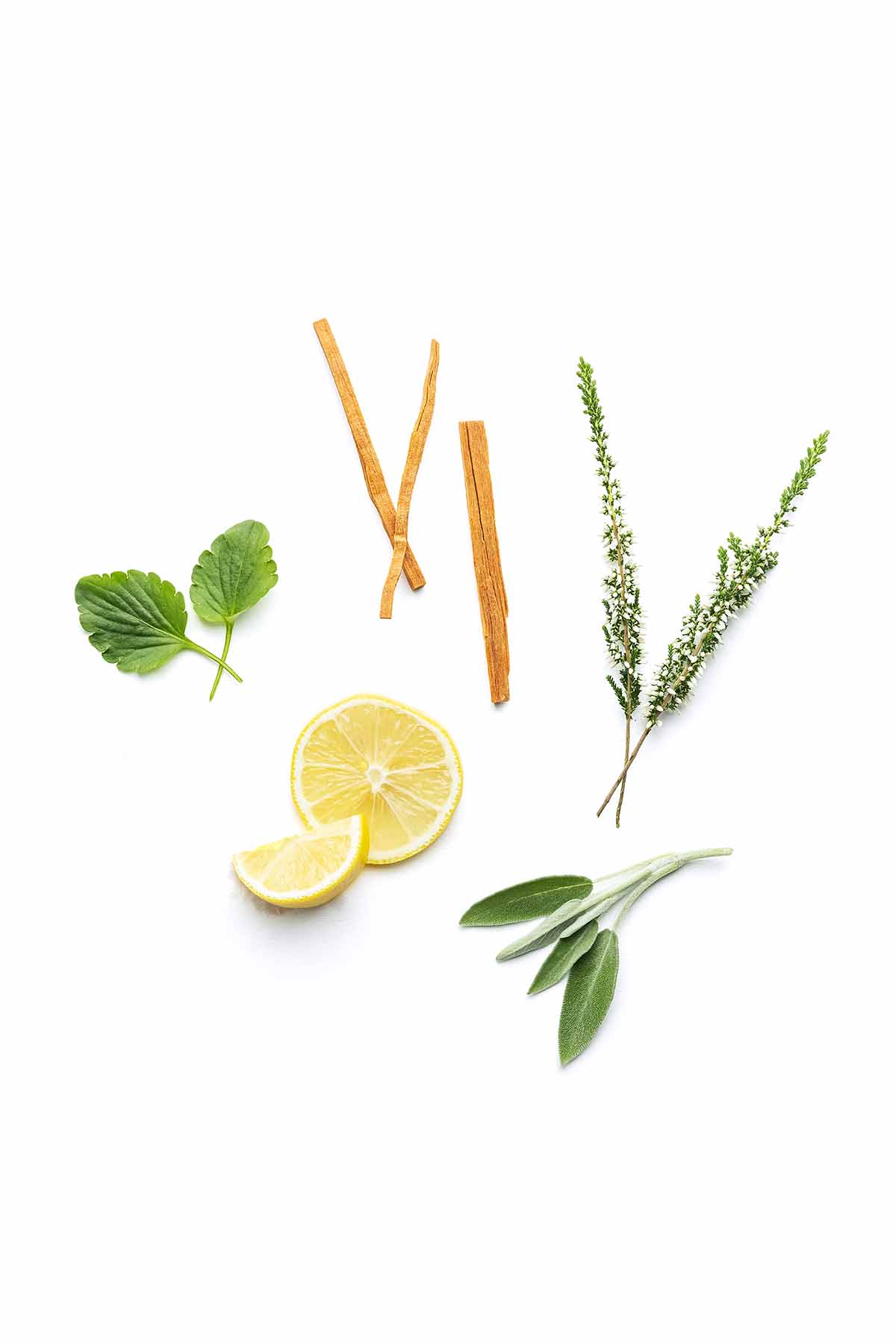 Tulum Scent Ingredients