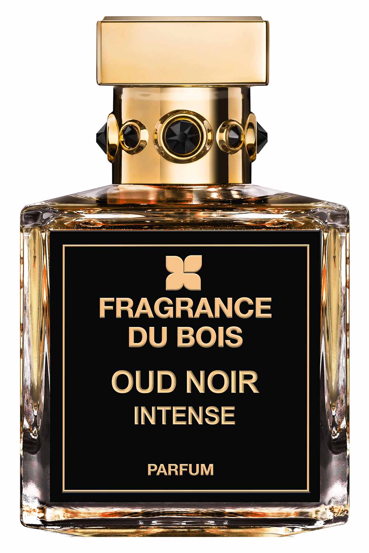 OUD NOIR 100 ML EDP