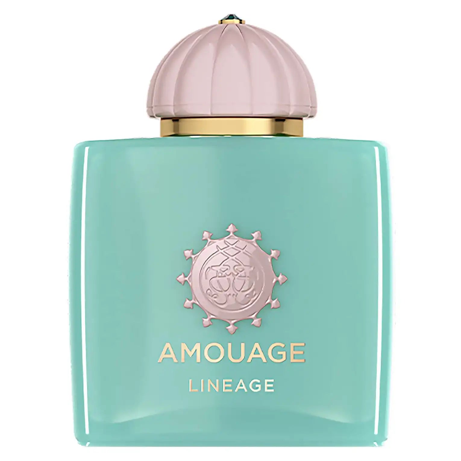 Amouage Lineage Eau de Parfum 100ml