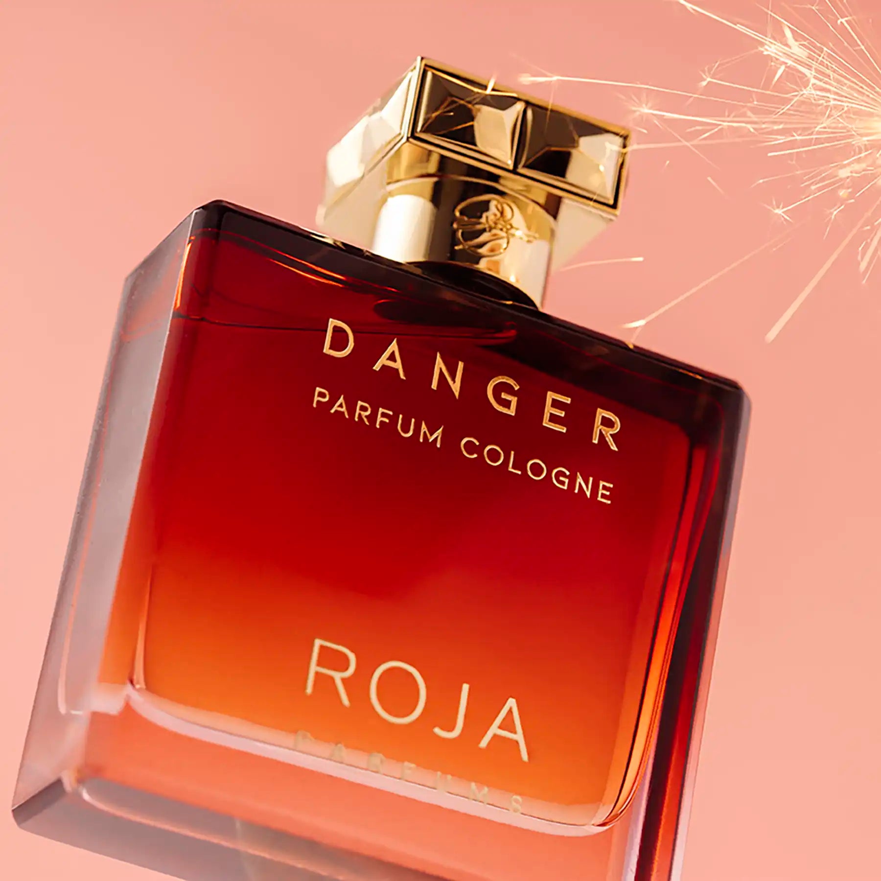 Roja Parfums Danger Parfum Cologne 100ml