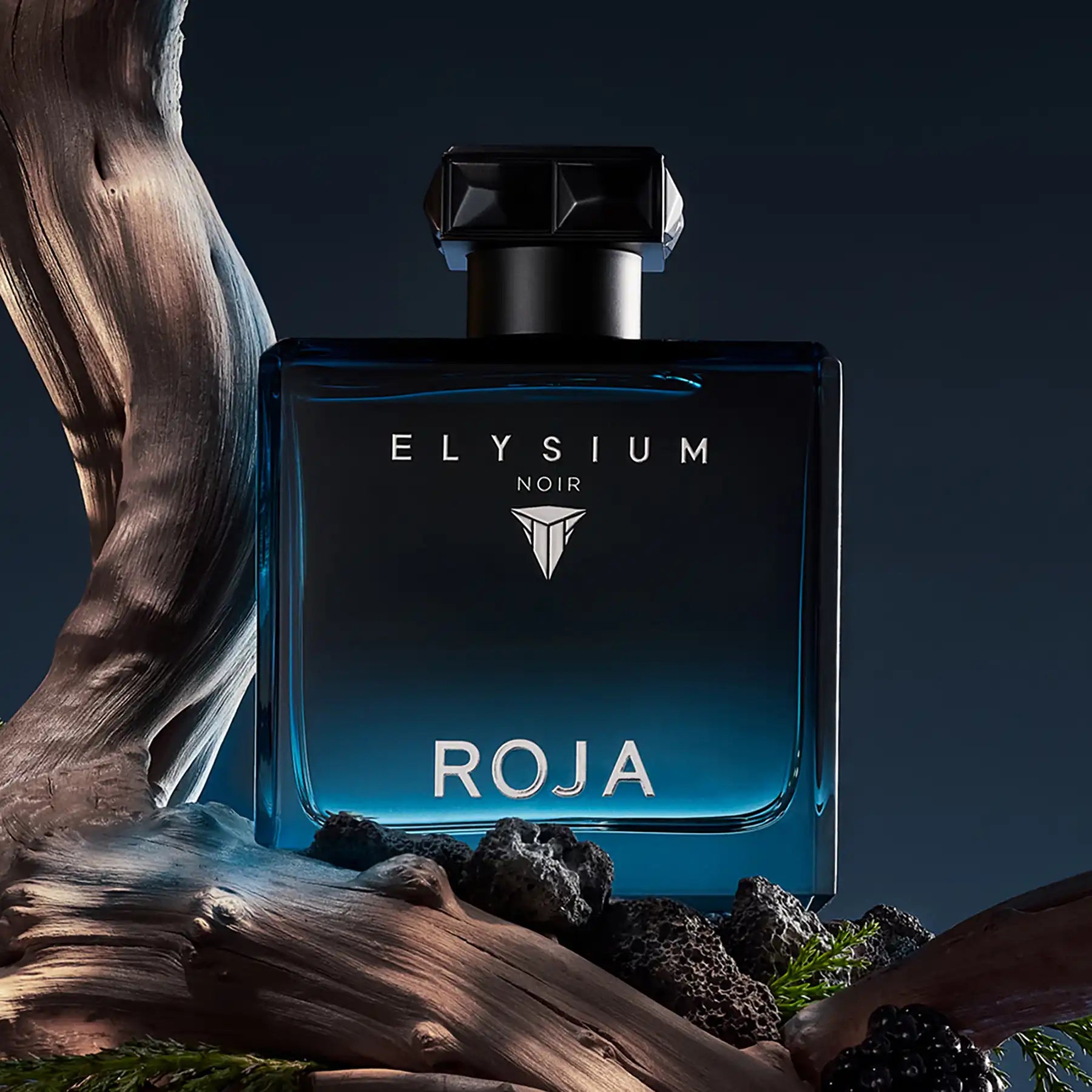 Roja Elysium Noir perfume bottle on a dark background with natural elements.